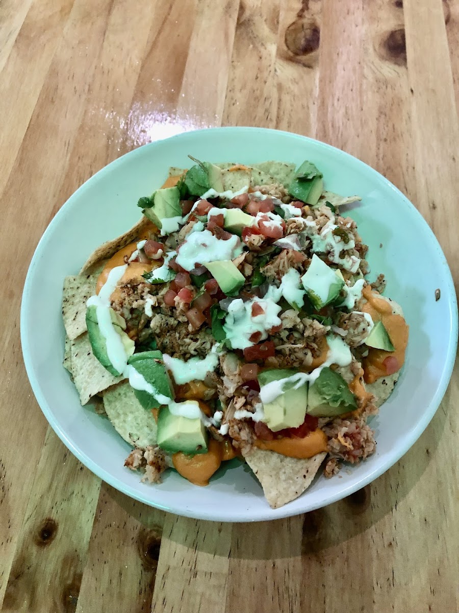 Plant Craft Kitchen Photos 2